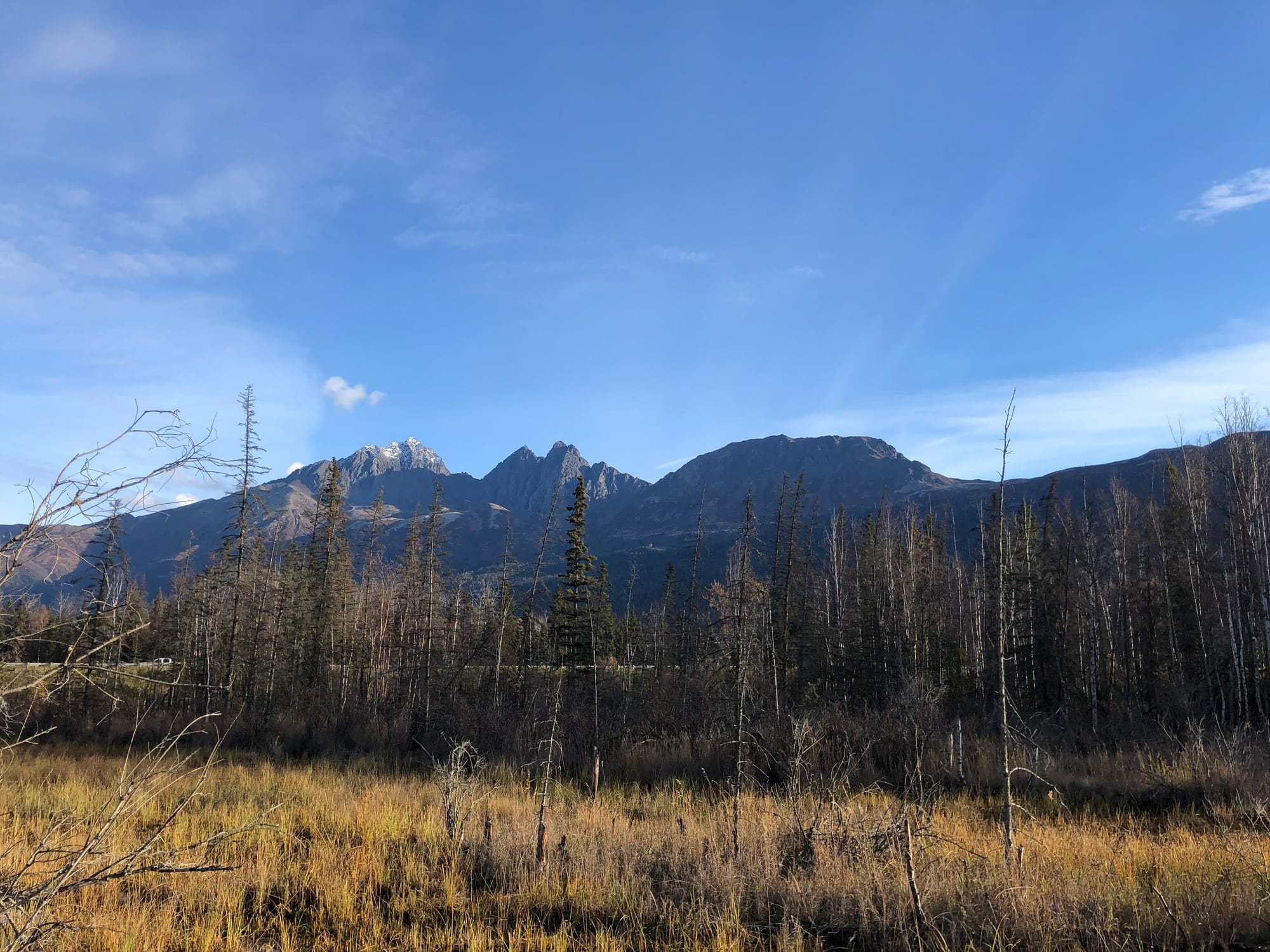 A view of Gold Star Peak and Mount POW/MIA (right) and the Twin Peaks.