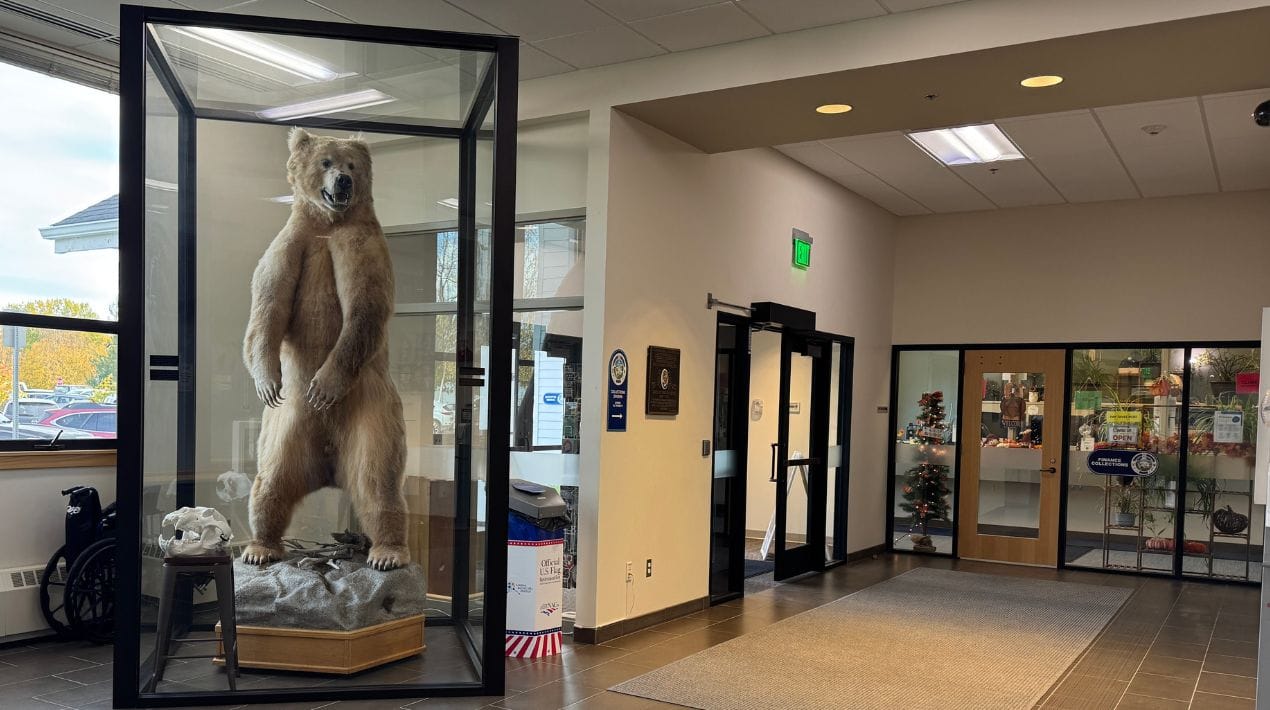 The lobby outside the Borough Assembly chambers currenly includes a brown bear and a U.S. flag disposal box