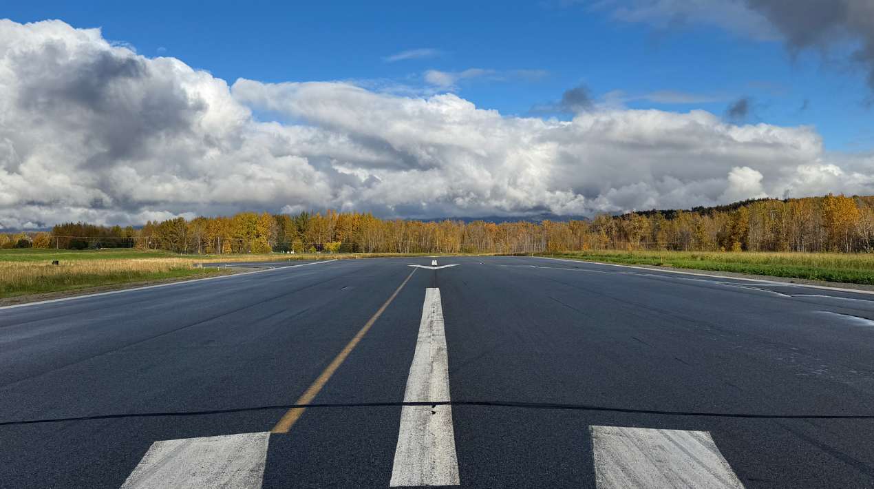 Trees at the Matanuska River Park just to the left of this Palmer Airport runway