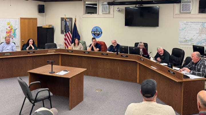 The Palmer City Council during a special meeting Nov. 14, 2024